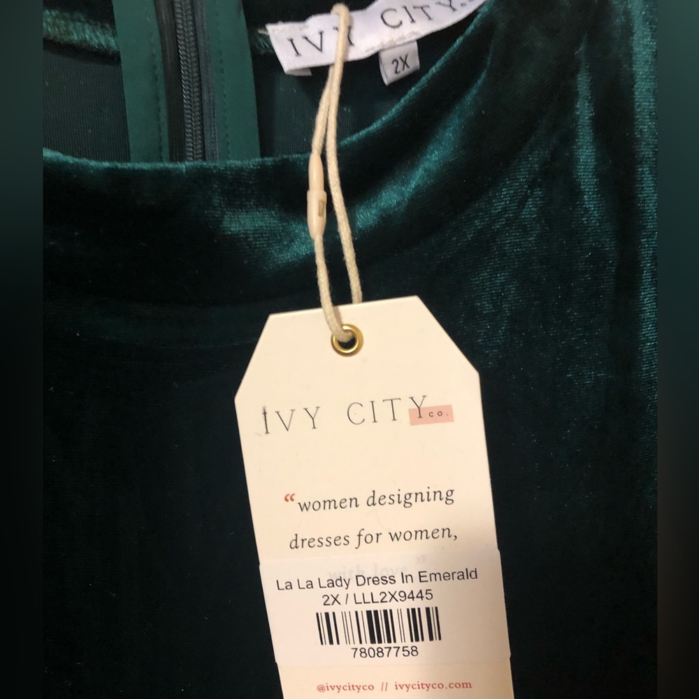 Ivy City Co emerald green velvet dress - Picture 7 of 7